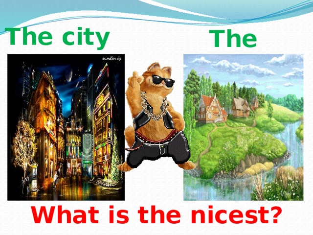 The city The country What is the nicest?