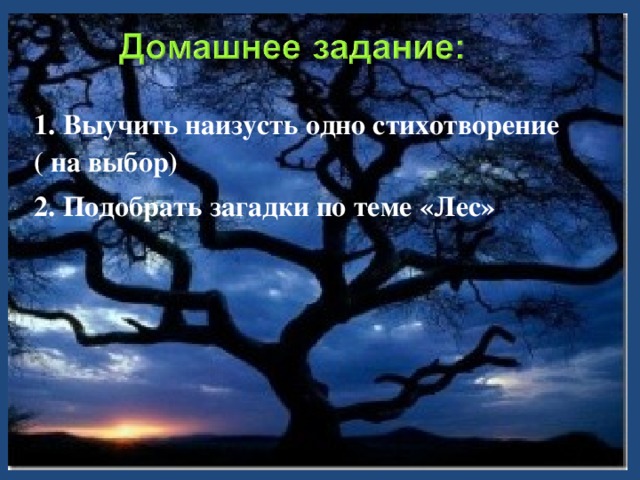 - Что вы узнали нового по теме? - Что вам было интересно? - Как нужно относиться к лесу, ко всему тому, что находится в лесу?