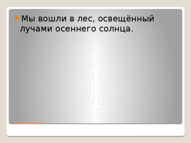 Мы вошли в лес, освещённый лучами осеннего солнца.