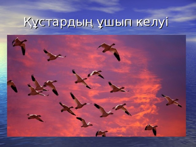 Құстардың ұшып келуі