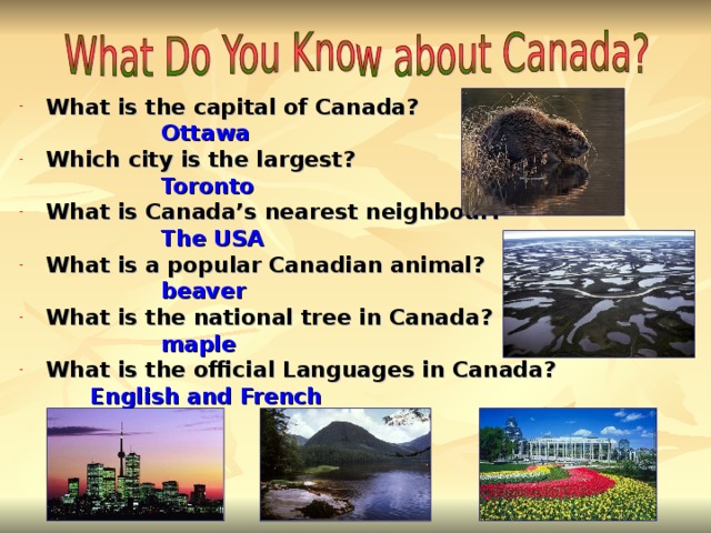 What is the capital of Canada?    Ottawa    Which city is the largest?    Toronto   What is Canada’s nearest neighbour?     The USA What is a popular Canadian animal?    beaver What is the national tree in Canada?    maple   What is the official Languages in Canada?