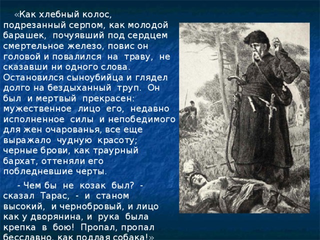 «Как хлебный колос, подрезанный серпом, как молодой барашек, почуявший под сердцем смертельное железо, повис он головой и повалился на траву, не сказавши ни одного слова. Остановился сыноубийца и глядел долго на бездыханный труп. Он был и мертвый прекрасен: мужественное лицо его, недавно исполненное силы и непобедимого для жен очарованья, все еще выражало чудную красоту; черные брови, как траурный бархат, оттеняли его побледневшие черты.  - Чем бы не козак был? - сказал Тарас, - и станом высокий, и чернобровый, и лицо как у дворянина, и рука была крепка в бою! Пропал, пропал бесславно, как подлая собака!»