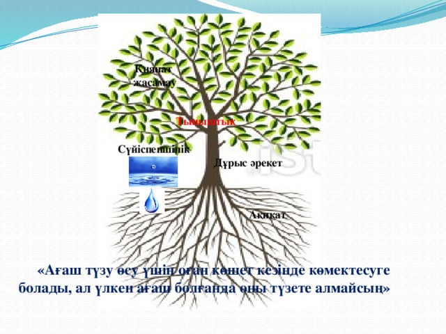 Қиянат жасамау Тыныштық Сүйіспеншілік Дұрыс әрекет Ақиқат  «Ағаш түзу өсу үшін оған көшет кезінде көмектесуге болады, ал үлкен ағаш болғанда оны түзете алмайсың»