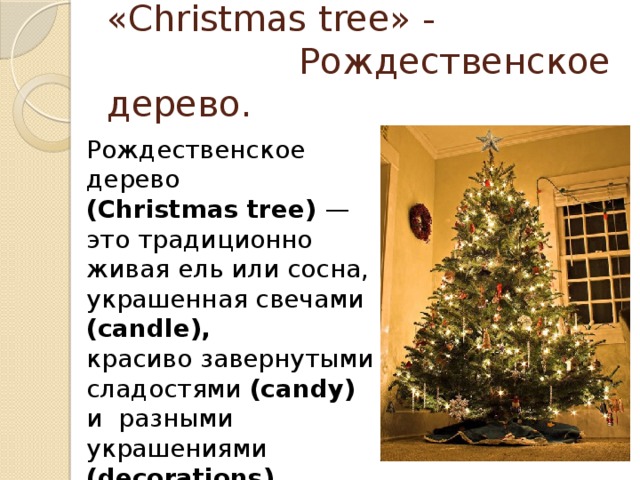 «Christmas tree» -  Рождественское дерево. Рождественское дерево (Christmas tree) — это традиционно живая ель или сосна, украшенная свечами (candle), красиво завернутыми сладостями (candy) и разными украшениями (decorations) . 