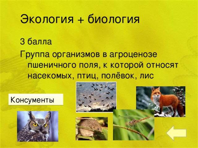 Экология + биология 3 балла Группа организмов в агроценозе пшеничного поля, к которой относят насекомых, птиц, полёвок, лис Консументы