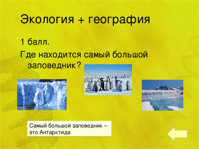 Экология + география 1 балл. Где находится самый большой заповедник? Самый большой заповедник – это Антарктида