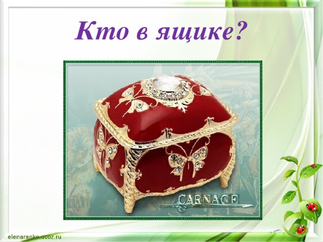 Кто в ящике?