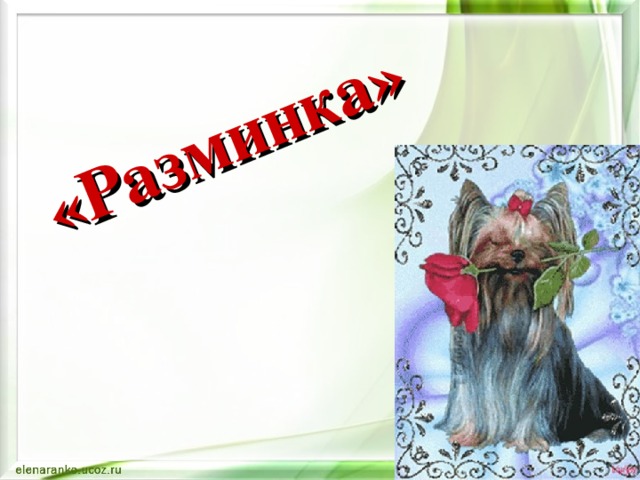 «Разминка»