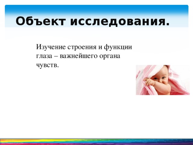 Объект исследования.    Изучение строения и функции глаза – важнейшего органа чувств.