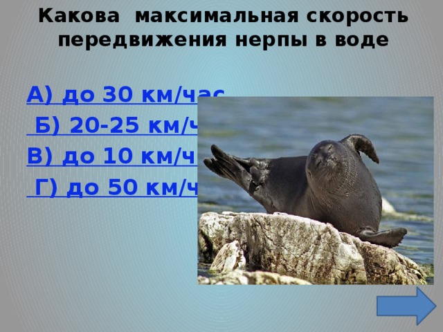 Какова максимальная скорость передвижения нерпы в воде   A) до 30 км/час  Б) 20-25 км/час B) до 10 км/час  Г) до 50 км/час