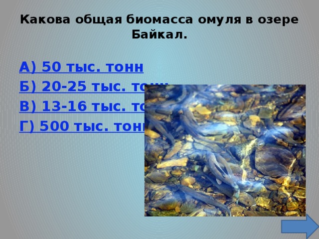 Какова общая биомасса омуля в озере Байкал.   A) 50 тыс. тонн Б) 20-25 тыс. тонн B) 13-16 тыс. тонн Г) 500 тыс. тонн