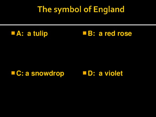 A: a tulip  B: a red rose  C: a snowdrop  D: a violet
