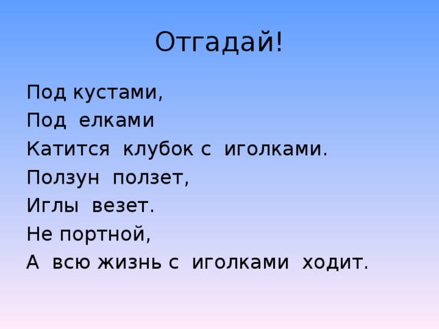 Отгадай! Под кустами, Под елками Катится клубок с иголками. Ползун ползет, Иглы везет. Не портной, А всю жизнь с иголками ходит.