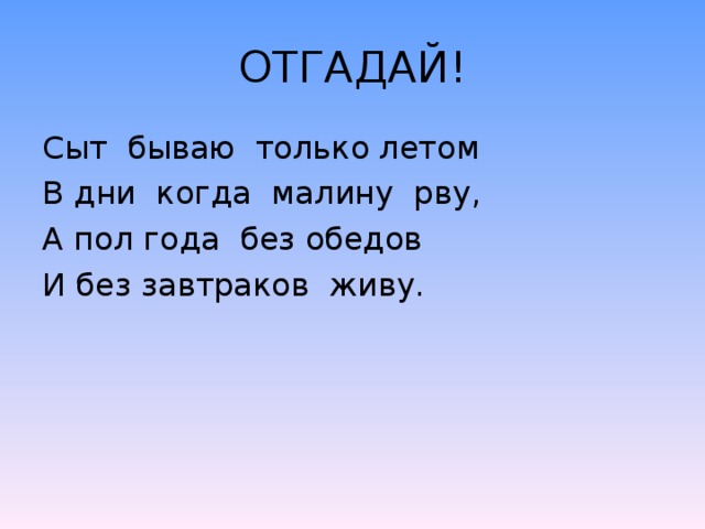 ОТГАДАЙ! Сыт бываю только летом В дни когда малину рву, А пол года без обедов И без завтраков живу.