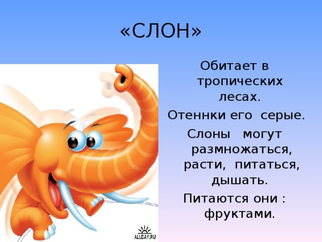 «СЛОН» Обитает в тропических лесах. Отеннки его серые. Слоны могут размножаться, расти, питаться, дышать. Питаются они : фруктами.