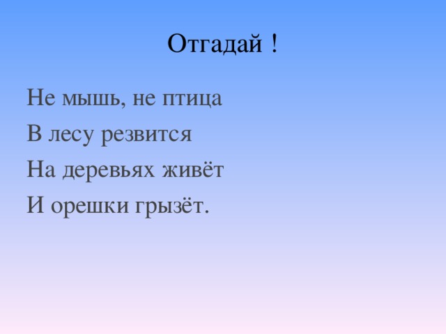 Отгадай ! Не мышь, не птица В лесу резвится На деревьях живёт И орешки грызёт.