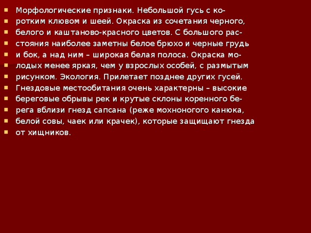 Морфологические признаки. Небольшой гусь с ко- ротким клювом и шеей. Окраска из сочетания черного, белого и каштаново-красного цветов. С большого рас- стояния наиболее заметны белое брюхо и черные грудь и бок, а над ним – широкая белая полоса. Окраска мо- лодых менее яркая, чем у взрослых особей, с размытым рисунком. Экология. Прилетает позднее других гусей. Гнездовые местообитания очень характерны – высокие береговые обрывы рек и крутые склоны коренного бе- рега вблизи гнезд сапсана (реже мохноногого канюка, белой совы, чаек или крачек), которые защищают гнезда от хищников.