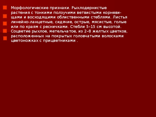 Морфологические признаки. Рыхлодернистые растения с тонкими ползучими ветвистыми корневи- щами и восходящими облиственными стеблями. Листья линейно-ланцетные, сидячие, острые, мясистые, голые или по краям с ресничками. Стебли 5–15 см высотой. Соцветие рыхлое, метельчатое, из 2–8 желтых цветков, расположенных на покрытых головчатыми волосками цветоножках с прицветниками .