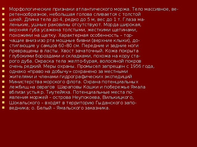 Морфологические признаки атлантического моржа. Тело массивное, ве- ретенообразное, небольшая голова сливается с толстой шеей. Длина тела до 4, редко до 5 м, вес до 1 т. Глаза ма- ленькие, ушные раковины отсутствуют. Морда широкая, верхняя губа усажена толстыми, жесткими щетинами, похожими на щетку. Характерная особенность – тор- чащие вниз изо рта мощные бивни (верхние клыки), до- стигающие у самцов 60–80 см. Передние и задние ноги превращены в ласты. Хвост зачаточный. Кожа покрыта глубокими бороздами и складками, похожа на кору ста- рого дуба. Окраска тела желто-бурая, волосяной покров очень редкий. Меры охраны. Промысел запрещен с 1956 года, однако «право на добычу» сохранено за местными жителями и членами гидрографических экспедиций Министерства морского флота. Охрана потенциальных лежбищ на оврагов Шараповы Кошки и побережье Ямала вблизи устья р. Тиутейяха. Потенциальные места по- явления моржей – острова Неупокоева, Вилькицкого, Шокальского – входят в территорию Гыданского запо- ведника; о. Белый – Ямальского заказника.