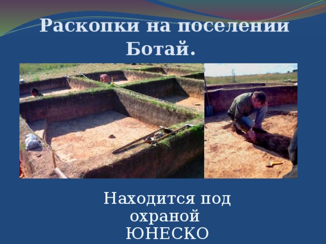 Раскопки на поселении Ботай . Находится под охраной ЮНЕСКО