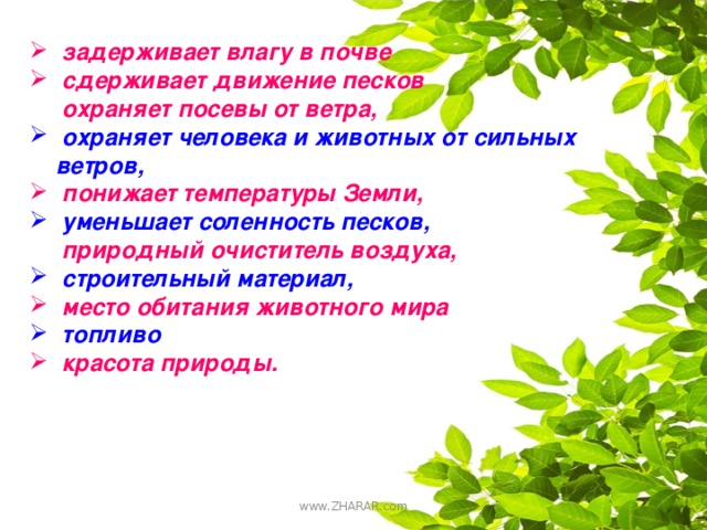 задерживает влагу в почве  сдерживает движение песков  охраняет посевы от ветра,  охраняет человека и животных от сильных ветров,  понижает температуры Земли,  уменьшает соленность песков,  природный очиститель воздуха,  строительный материал,  место обитания животного мира  топливо  красота природы.