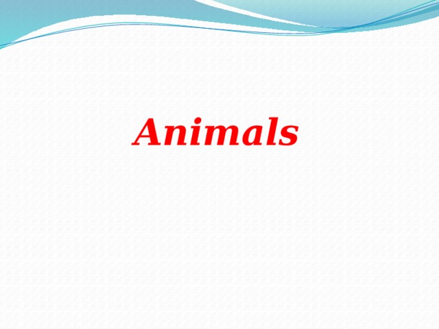 Animals