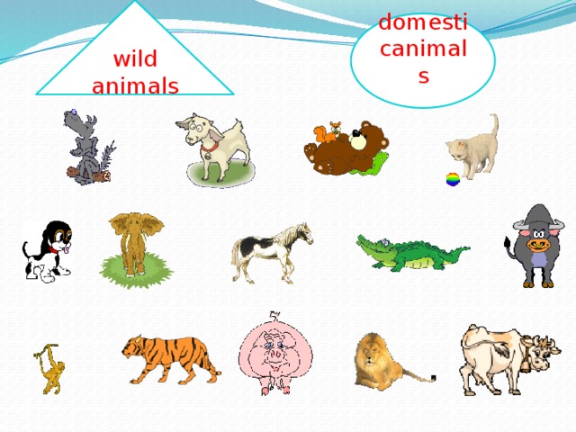 wild animals domesticanimals
