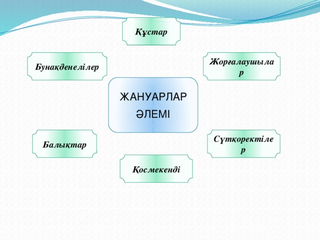 Құстар Бунақденелілер Жорғалаушылар ЖАНУАРЛАР ӘЛЕМІ Сүтқоректілер Балықтар Қосмекенді