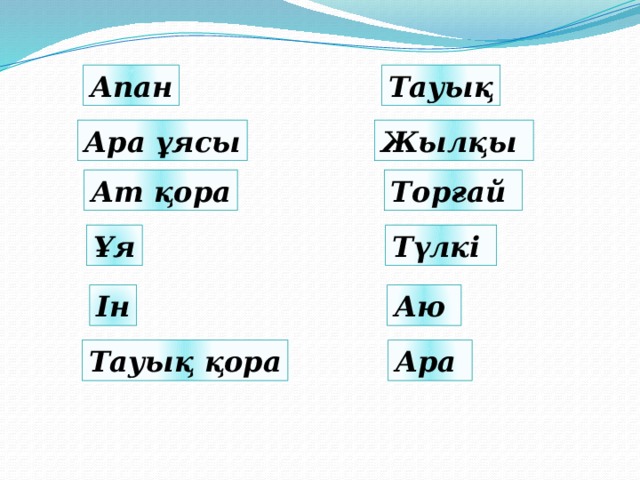 Тауық Апан Ара ұясы Жылқы Ат қора Торғай Ұя Түлкі Ін Аю Тауық қора Ара