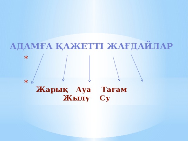 Адамға қажетті жағдайлар   Жарық Ауа Тағам Жылу Су