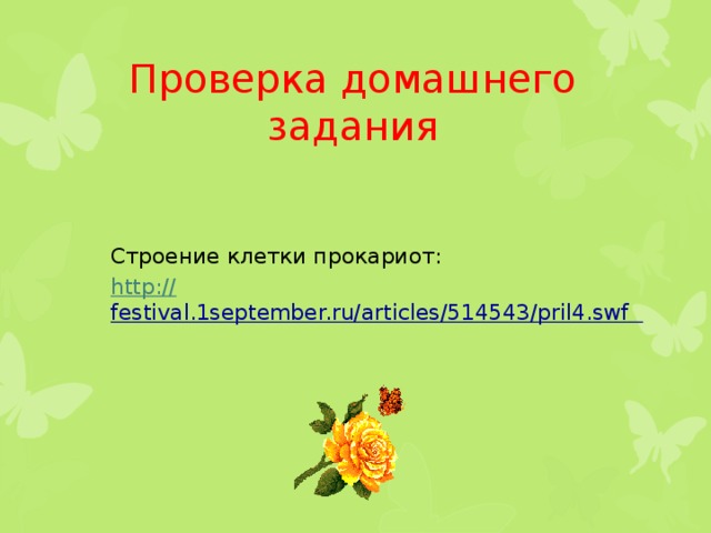 Проверка домашнего задания Строение клетки прокариот: http:// festival.1september.ru/articles/514543/pril4.swf