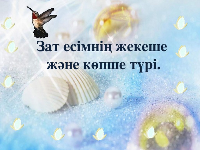 Зат есімнің жекеше  және көпше түрі.