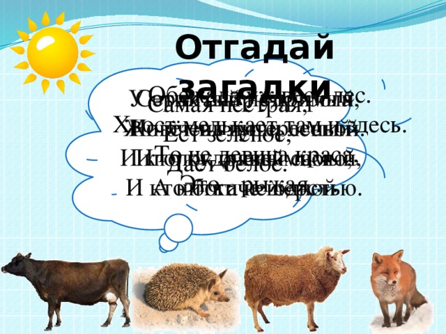 Отгадай загадки Самая пёстрая, Ест зелёное, Даёт белое. Обежала уж весь лес. Хвост мелькает там и здесь. То не девица краса, Это - рыжая … Сердитый недотрога У этих спор упрямый, Но очень интересный- Живёт в глуши лесной. И кто кудрявей самый, Иголок очень много, И кто богаче шерстью . А нитки не одной