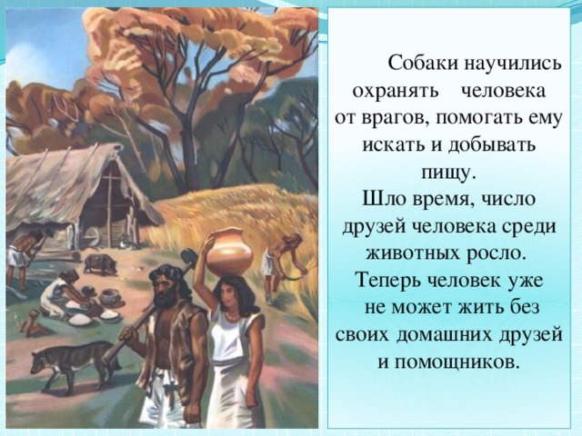 Собаки научились охранять человека от врагов, помогать ему искать и добывать пищу. Шло время, число друзей человека среди животных росло. Теперь человек уже  не может жить без своих домашних друзей и помощников.