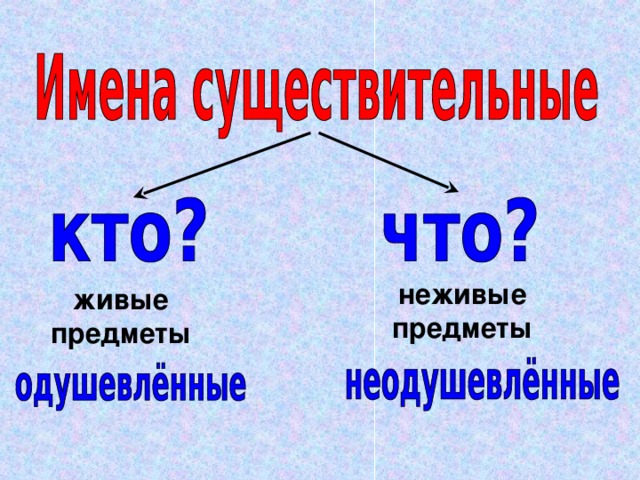 неживые предметы живые предметы