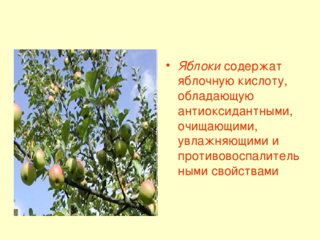 Яблоки содержат яблочную кислоту, обладающую антиоксидантными, очищающими, увлажняющими и противовоспалительными свойствами