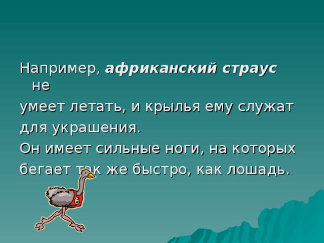 Например, африканский страус не умеет летать, и крылья ему служат для украшения. Он имеет сильные ноги, на которых бегает так же быстро, как лошадь.