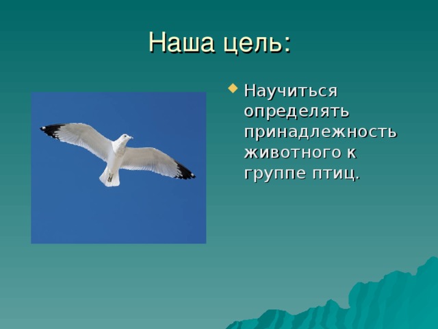 Наша цель: