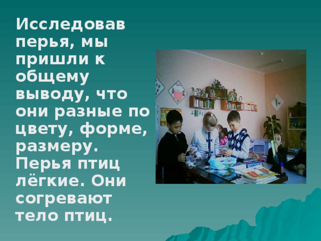 Исследовав перья, мы пришли к общему выводу, что они разные по цвету, форме, размеру. Перья птиц лёгкие. Они согревают тело птиц.