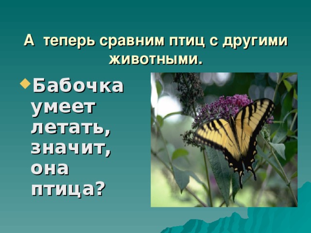 А теперь сравним птиц с другими животными. Бабочка умеет летать, значит, она птица?