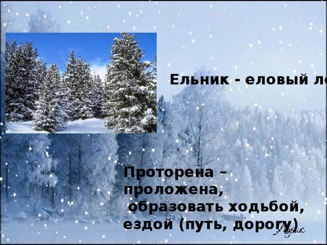 Ельник - еловый лес Проторена – проложена,  образовать ходьбой, ездой (путь, дорогу)