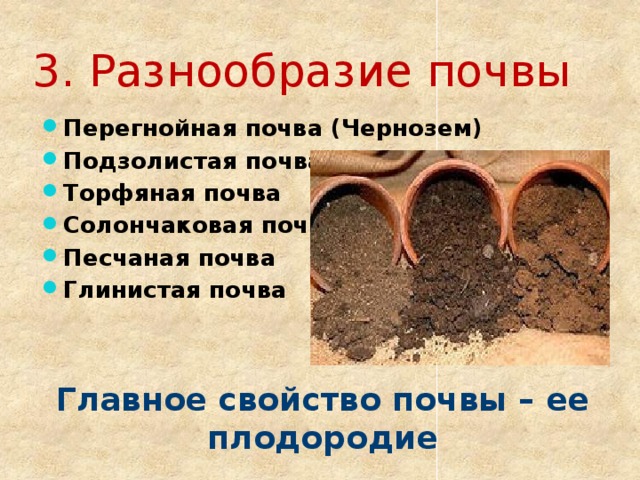 3. Разнообразие почвы Перегнойная почва (Чернозем) Подзолистая почва Торфяная почва Солончаковая почва Песчаная почва Глинистая почва Главное свойство почвы – ее плодородие