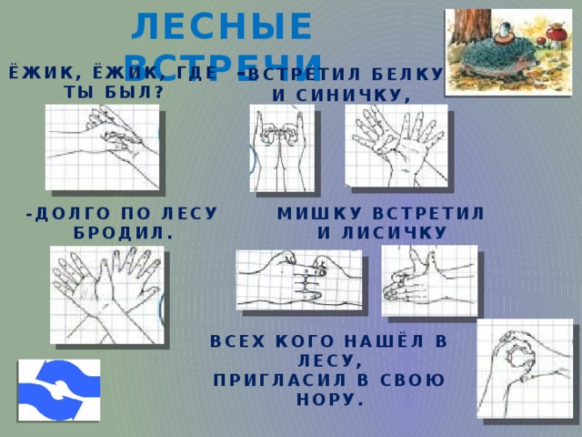 ЛЕСНЫЕ ВСТРЕЧИ - ВСТРЕТИЛ БЕЛКУ И СИНИЧКУ, ЁЖИК, ЁЖИК, ГДЕ ТЫ БЫЛ? -ДОЛГО ПО ЛЕСУ БРОДИЛ. МИШКУ ВСТРЕТИЛ И ЛИСИЧКУ ВСЕХ КОГО НАШЁЛ В ЛЕСУ, ПРИГЛАСИЛ В СВОЮ НОРУ.