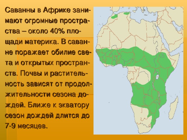 Саванны в Африке зани- мают огромные простра- ства – около 40% пло- щади материка. В саван- не поражает обилие све- та и открытых простран- ств. Почвы и раститель- ность зависят от продол- жительности сезона до- ждей. Ближе к экватору сезон дождей длится до 7-9 месяцев.