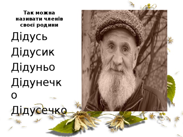 Так можна називати членів своєї родини Дідусь Дідусик Дідуньо Дідунечко Дідусечко