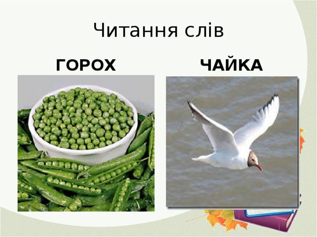 Читання слів ГОРОХ ЧАЙКА