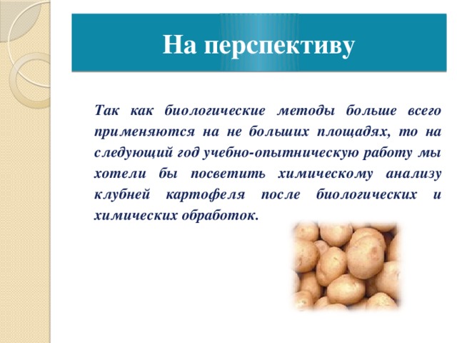 На перспективу  Так как биологические методы больше всего применяются на не больших площадях, то на следующий год учебно-опытническую работу мы хотели бы посветить химическому анализу клубней картофеля после биологических и химических обработок.