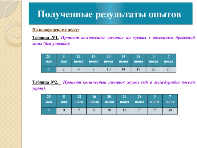 Полученные результаты опытов По колорадскому жуку: Таблица №1.  Процент количества личинок на кустах с внесением древесной золы (два участка)     Таблица №2.  Процент количества личинок жуков (где в междурядья посеян укроп).  25 мая 8 0 мая 12 2 июня 16 4 июня 8 20 июня 24 10 июня 28 14 июня 3 18 июля 7 20 июля 23 25 0 мая 8 12 0 мая 2 16 июня 20 6 июня 10 24 июня 28 16 июня 3 23 июня 7 27 июля 30 июля