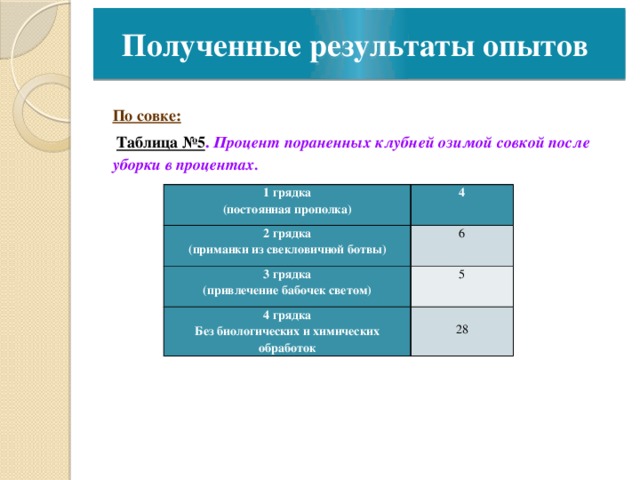 Полученные результаты опытов Полученные результаты опытов По совке:    Таблица №5 . Процент пораненных клубней озимой совкой после уборки в процентах. 1 грядка (постоянная прополка) 4 2 грядка (приманки из свекловичной ботвы) 6 3 грядка (привлечение бабочек светом) 5 4 грядка Без биологических и химических обработок   28