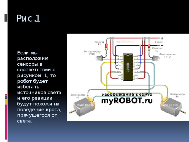 Рис.1 Если мы расположим сенсоры в соответствии с рисунком 1, то робот будет избегать источников света и его реакции будут похожи на поведение крота, прячущегося от света.